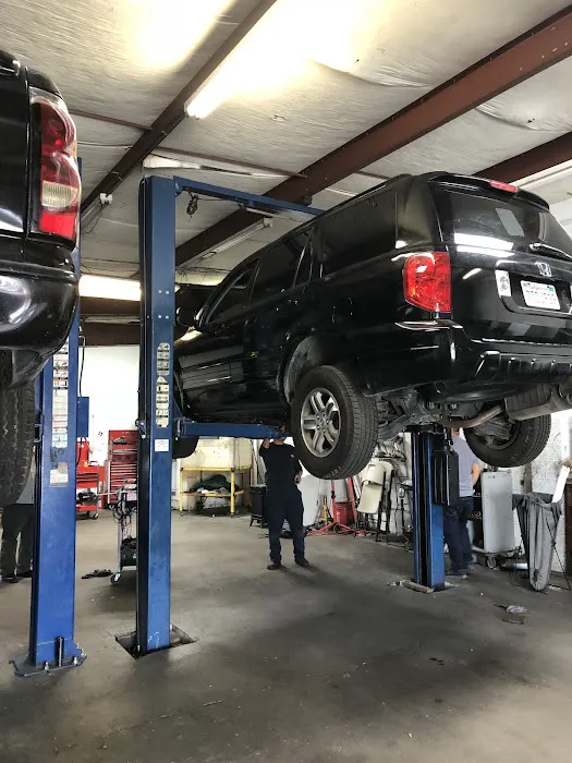 Sinai Auto Repair. 0