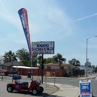 Smoggies Smog Check