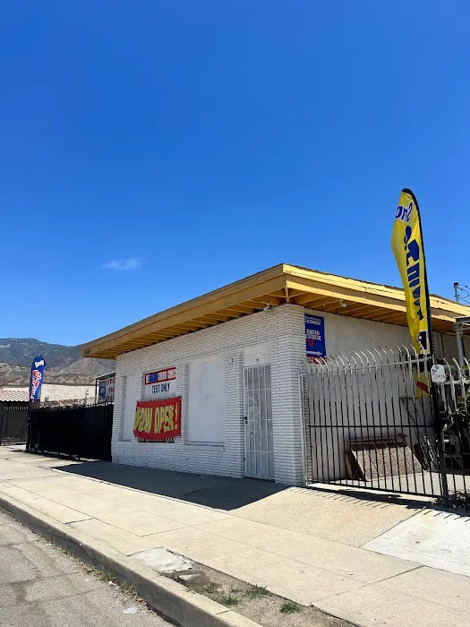 Becky's Smog Check Test Only 4