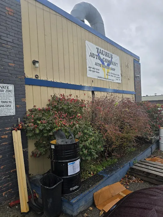 Taurus Auto Company 5