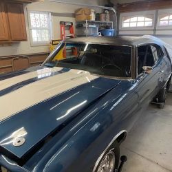 T&M Auto Glass-Repair & Replacement LLC ico