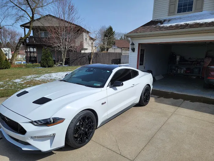 Sharper Images Tint and Wraps 0