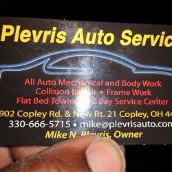 Plevris Auto Services ico