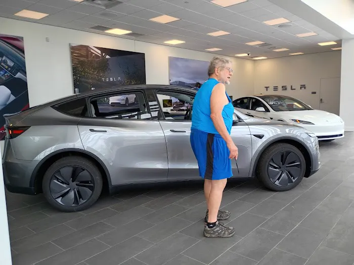 Tesla Service 0