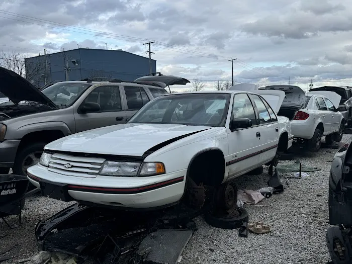 Pull-A-Part 7