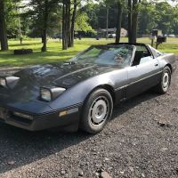Warners collision & restoration