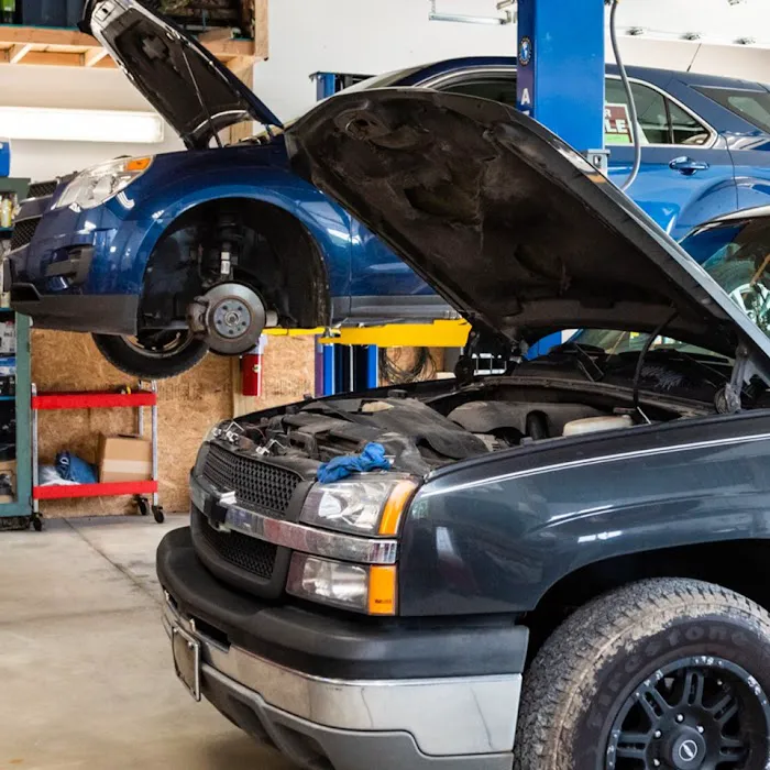 FREDS AUTOMOTIVE 0
