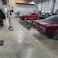 Mustangs To Fear