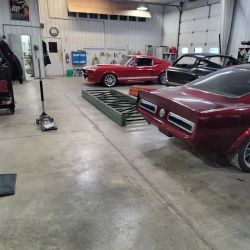 Mustangs To Fear ico