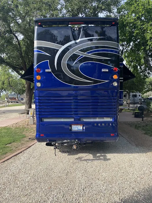 True Colors Custom Paint Inc 1