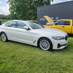 LRV Custom Painting LLC ico