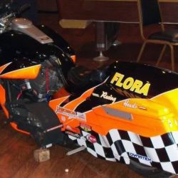 Flora Racing Heads ico