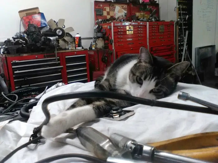 TEC PRO Auto Care 1