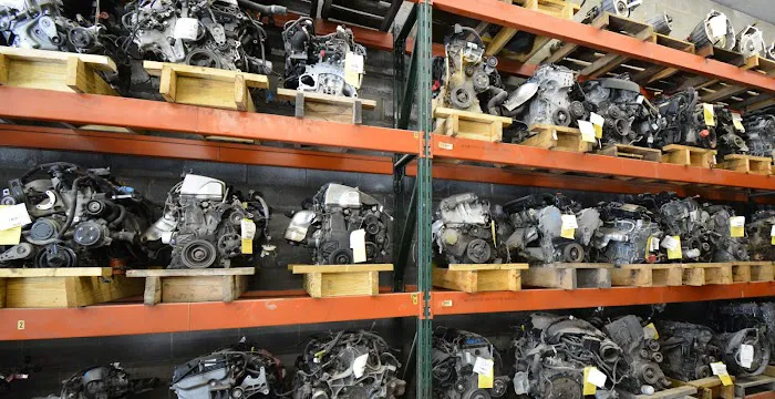 Auto Parts Store LLC 2