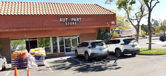 Auto Parts Store LLC 3