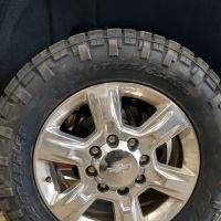 Horst Tire