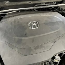 Dave White Acura Service ico