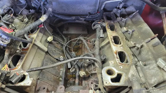 Ambrosia’s Automotive 5