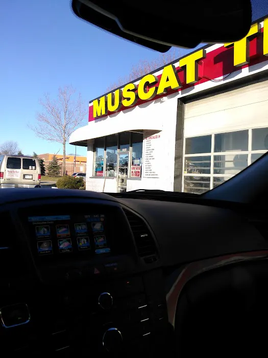 Muscat Tire 8