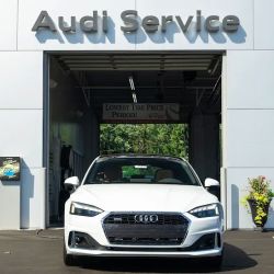 Audi Sylvania Service Center ico