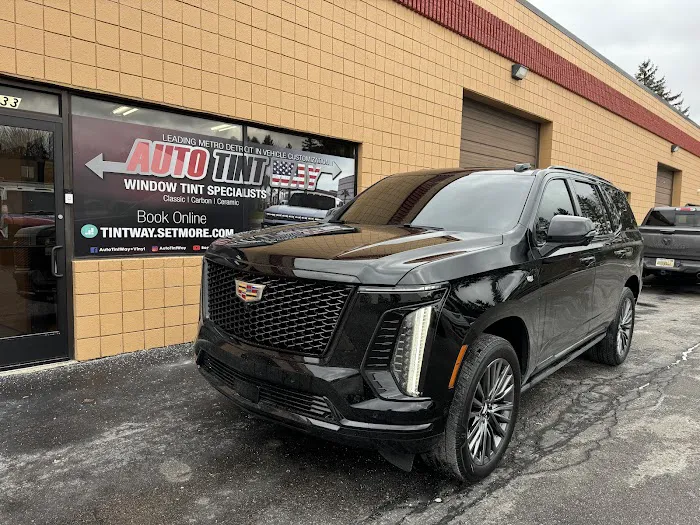 Auto Tint Way 3