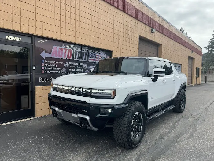 Auto Tint Way 2