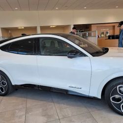 Woodhouse Ford South Parts ico