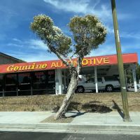 Genuine Automotive Inc