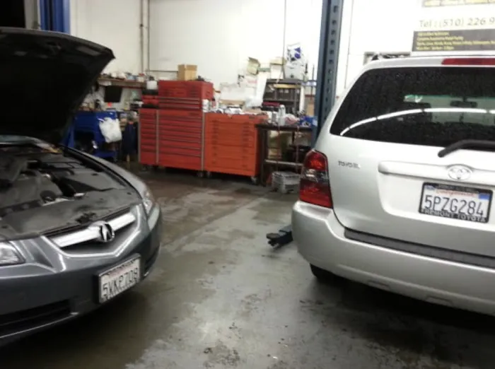 BNP Foreign Auto & Fremont Alignment 3