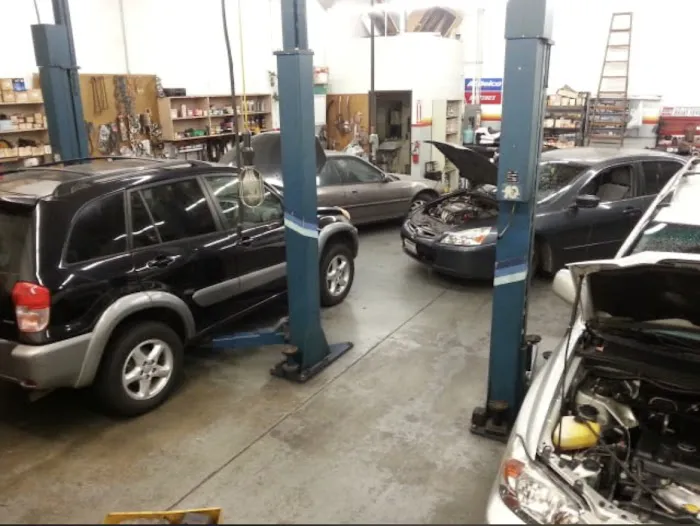 BNP Foreign Auto & Fremont Alignment 4