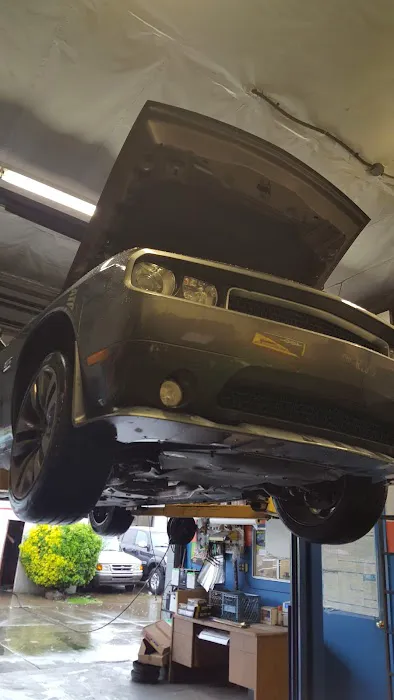 Cat's Automotive Repair 0