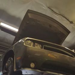 Cat's Automotive Repair ico