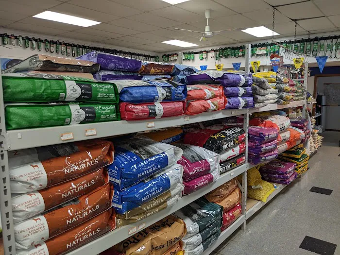 NAPA Auto Parts - Auto Parts of Mauston 9