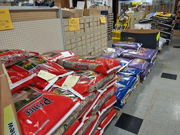 NAPA Auto Parts - Auto Parts of Mauston 8