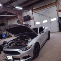 Cardinal Automotive Inc