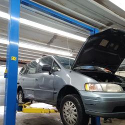 D&M Auto, LLC ico