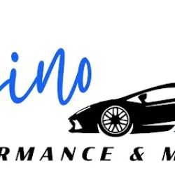 Cousino Performance ico