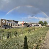 Scott's Automotive of Fort Collins