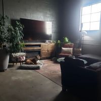PineDog Automotive