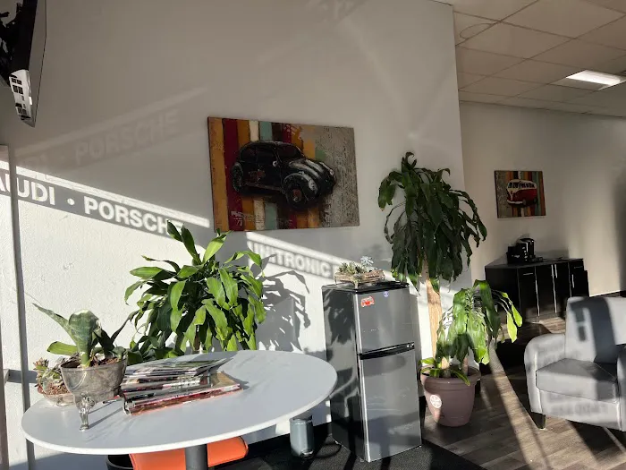 European Motor Cars Inc. 5