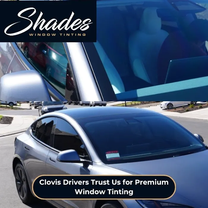 Shades Window Tint & PPF 7