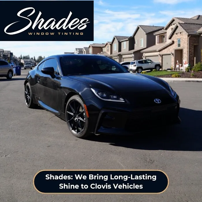 Shades Window Tint & PPF 8