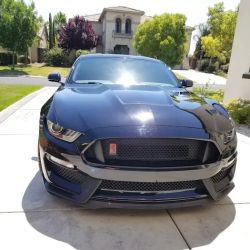 Diamond Auto Body & Paint, Inc. ico