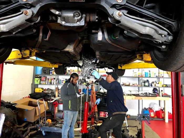 AutoBees 1