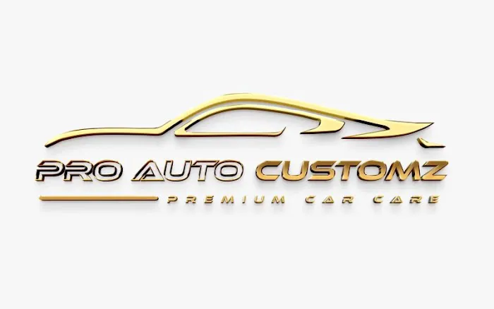 pro auto customz 4