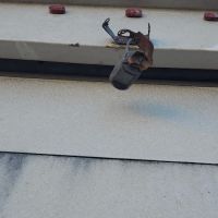 Zion Auto Glass & Alarm