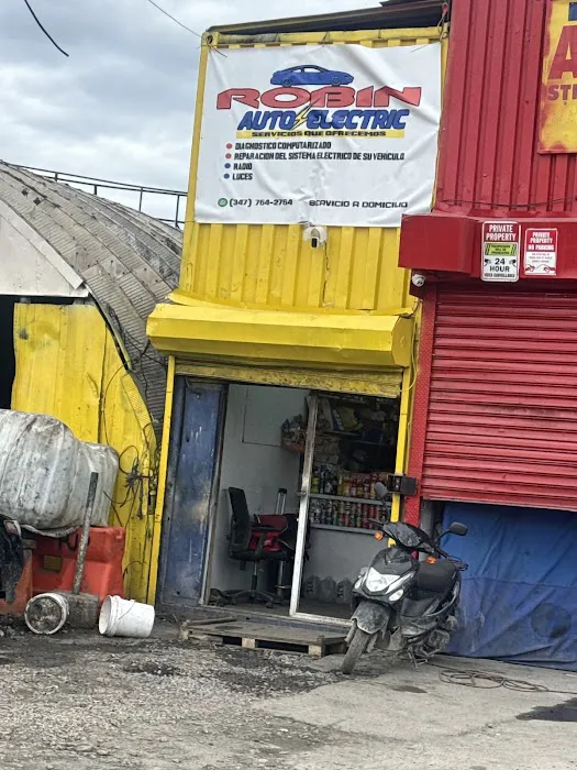 Robin Auto Electric 2