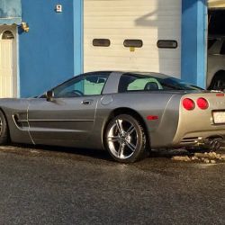 LQ Window Tinting ico