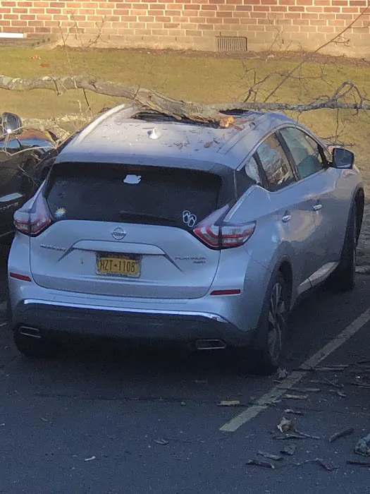 Westchester Auto Body 2