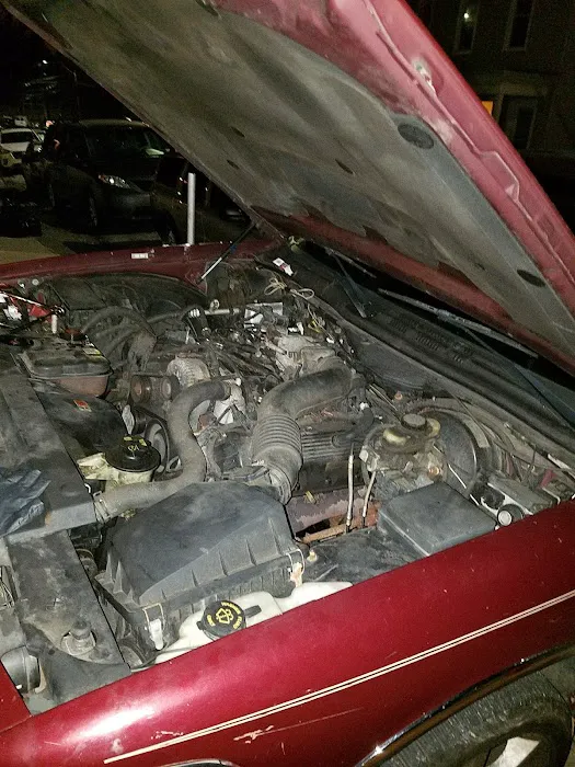 Miele Auto Parts 1